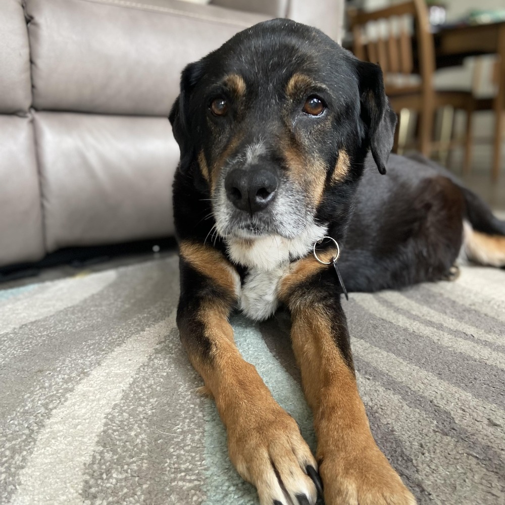 Meet your Posher, Carolyn